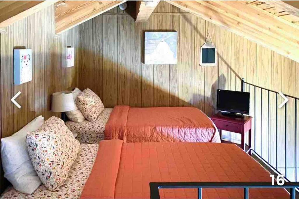 Apartment Cheerful 3-bedroom Townhouse With Private Lake